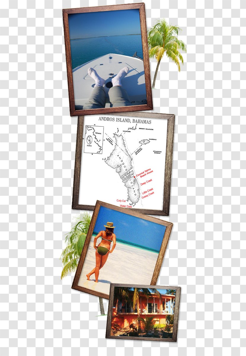 South Andros Fishing Rods Picture Frames Beach - Angling - Breezes Resort Bahamas Transparent PNG