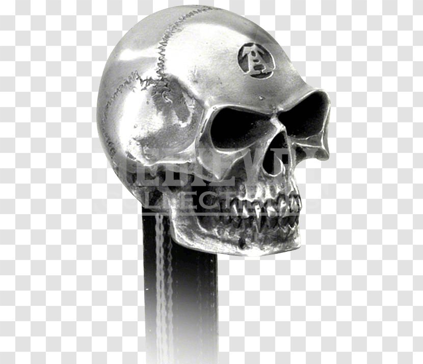 Skull Car Gear Stick Skeleton Alchemy - Human - Enlightenment Toys Transparent PNG