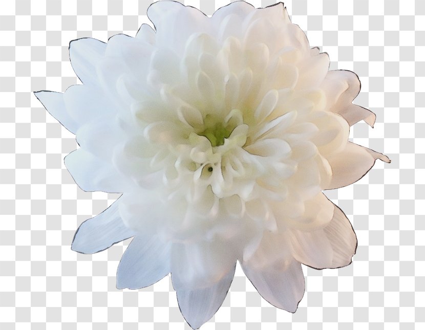 Artificial Flower - Peony Transparent PNG