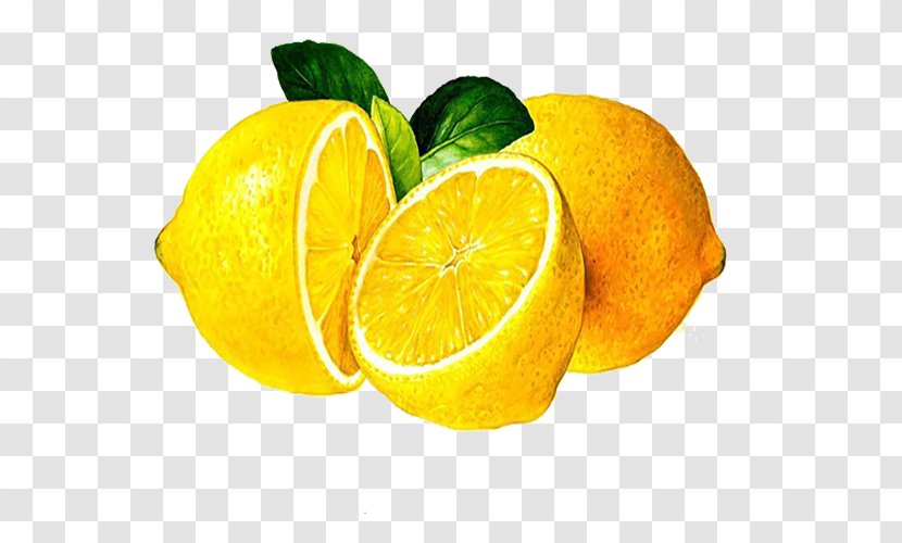 Clementine Lemon Mandarin Orange Lime - Vegetarian Food - Yellow Transparent PNG