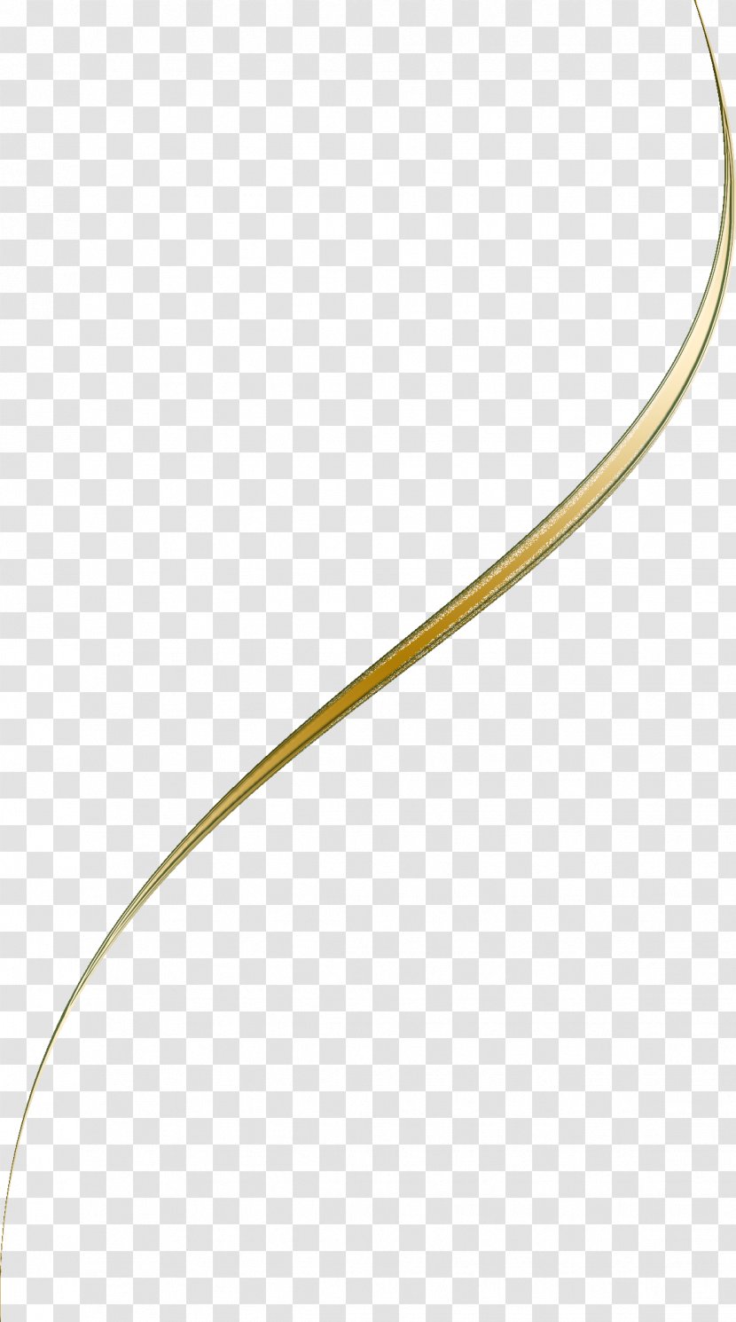 Body Jewellery - Jewelry - GOLD LINE Transparent PNG