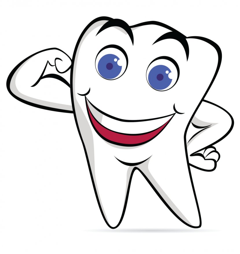 Human Tooth Cartoon Clip Art - Dental Smile Cliparts Transparent PNG