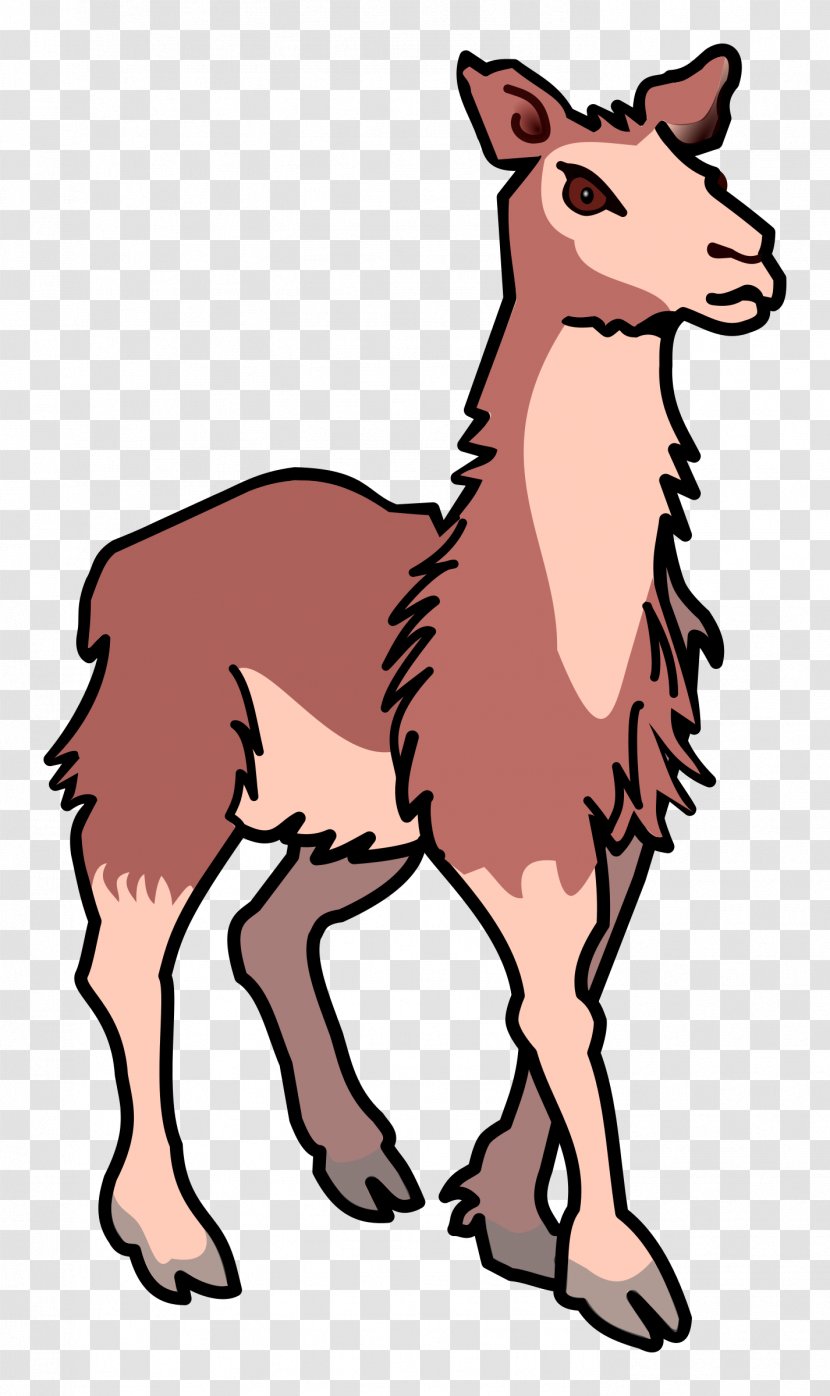 Llama Public Domain Clip Art - Horse - Llamas Transparent PNG