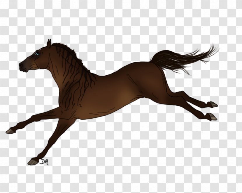 Mane Mustang Stallion Foal Colt - Mammal - Horsemanship Transparent PNG