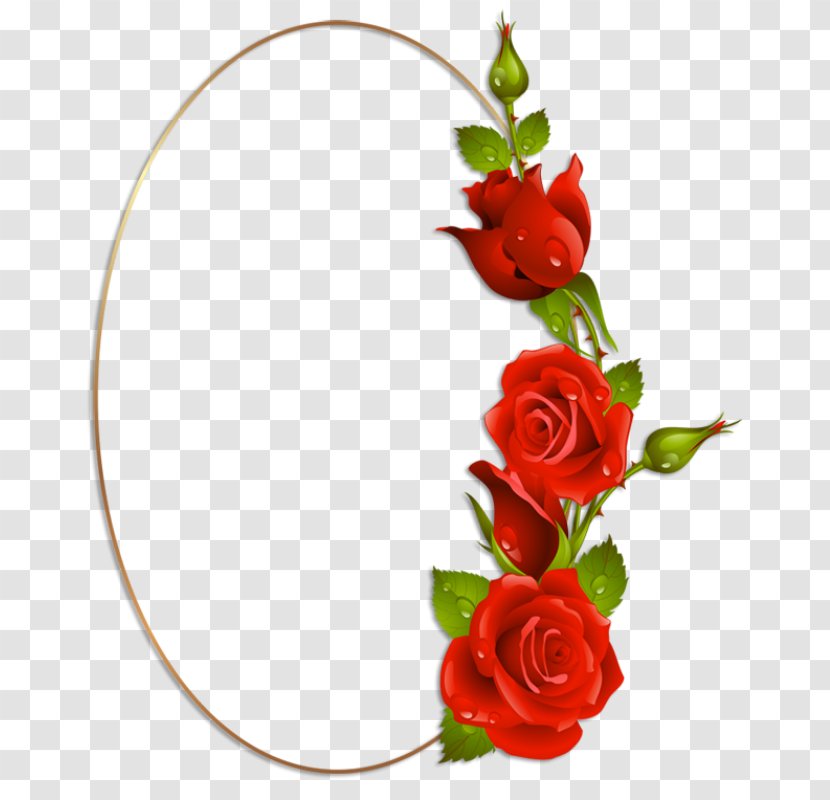 Garden Roses Red Drawing - Flower Bouquet - Rose Transparent PNG