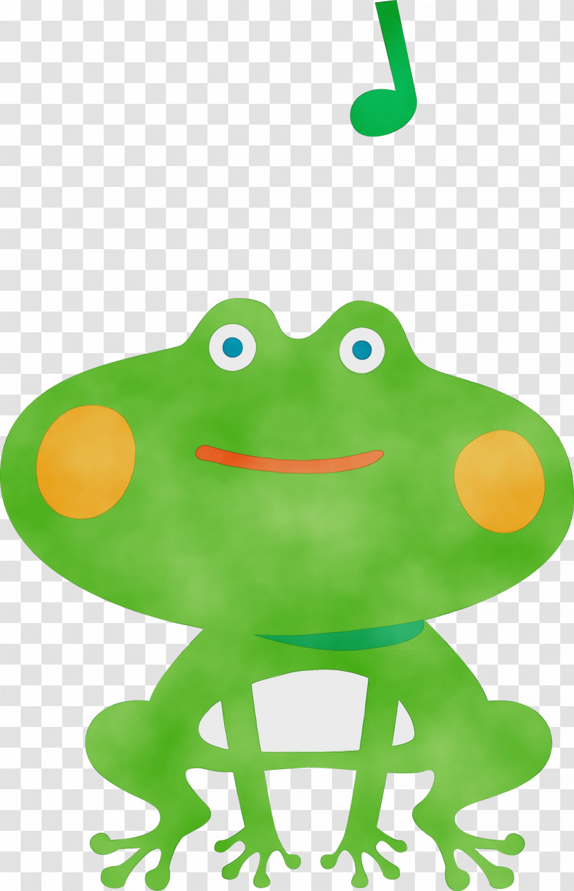True Frog Frogs Green Tree Frog Science Transparent PNG