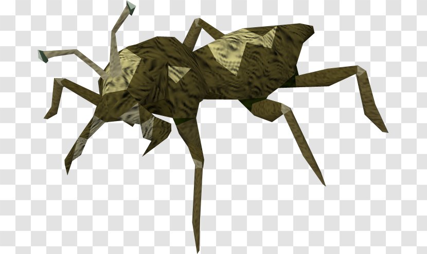 Beetle RuneScape Bed Bug Wikia Cave - Technical Support Transparent PNG