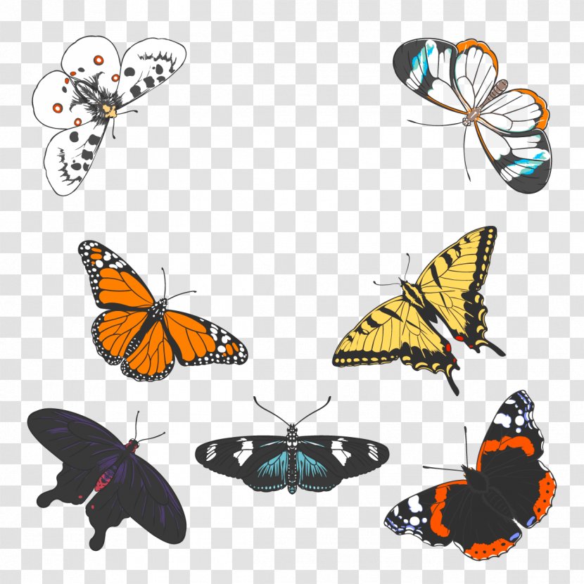Monarch Butterfly Insect - Vector Transparent PNG
