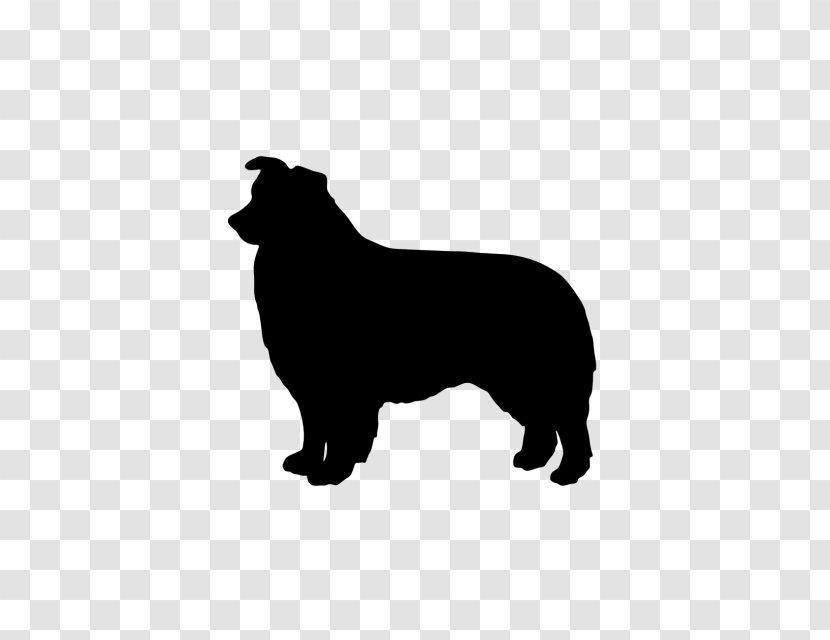 Border Collie Rough Bearded Puppy - Decal Transparent PNG