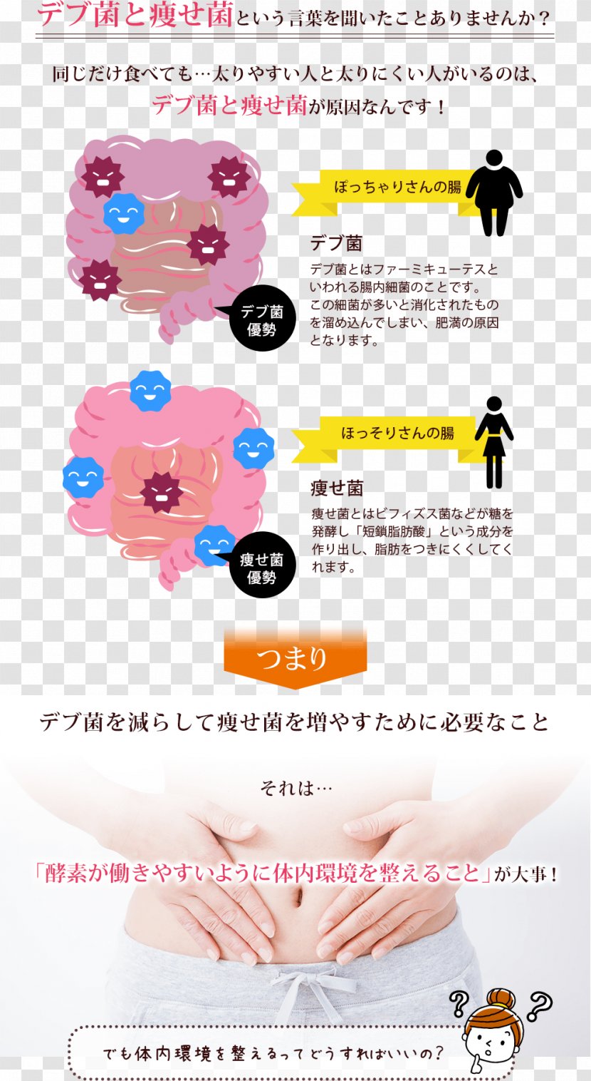Aojiru Dietary Supplement Dieting Paper デブ - Smile - Intestine Transparent PNG