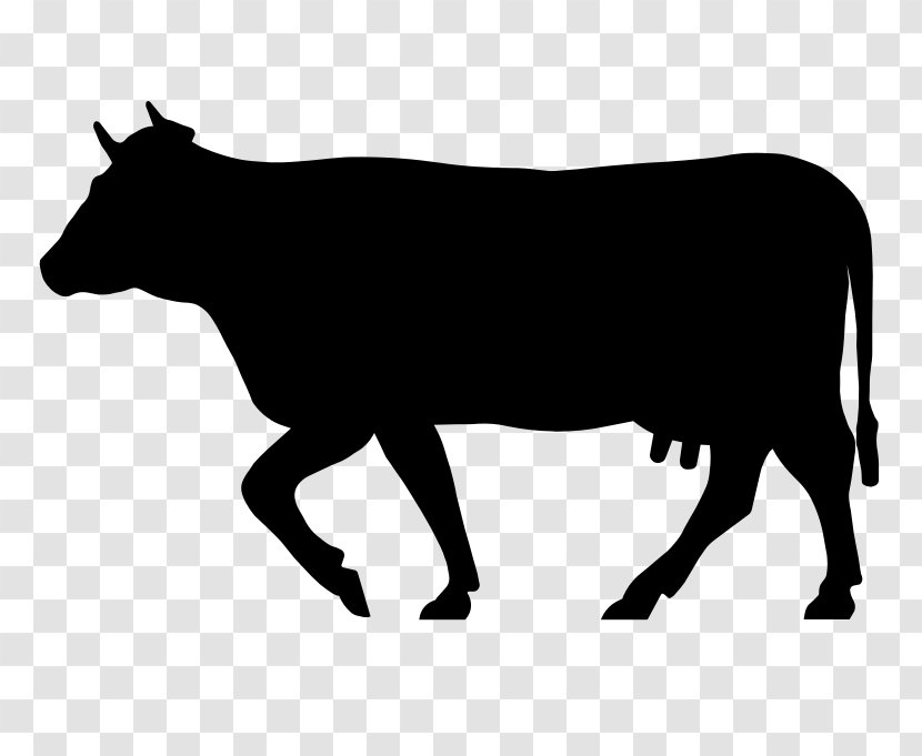 Beef Cattle Welsh Black Dairy - Horn Transparent PNG