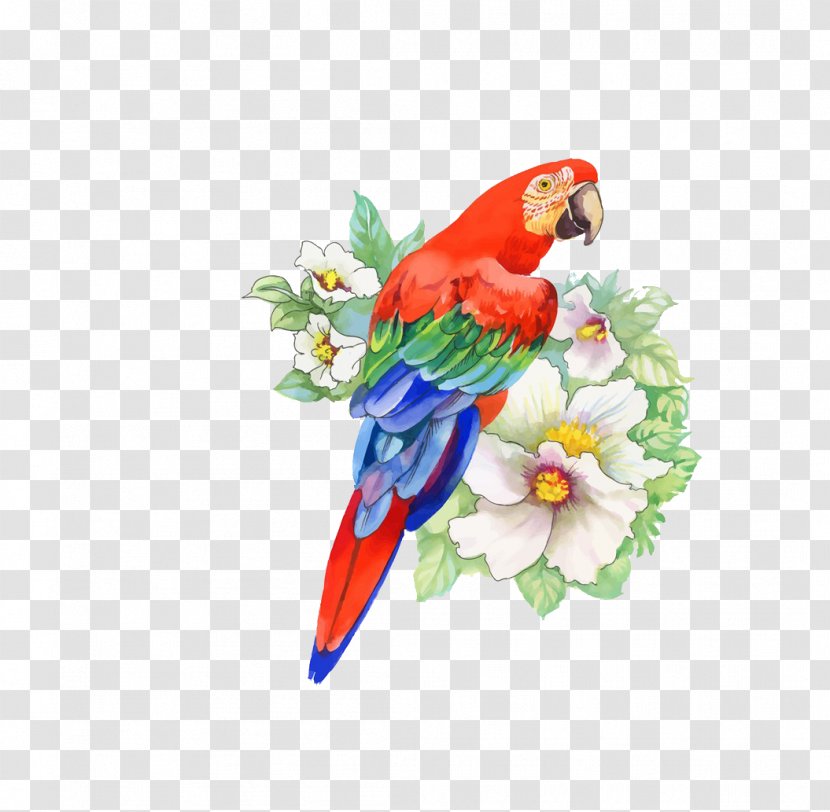 Bird Parrot Flower Drawing Transparent PNG