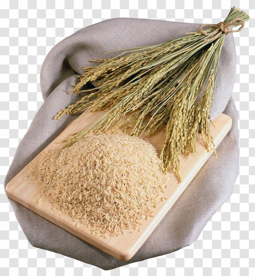 Brown Rice Oryza Sativa Food - Whole Grain Transparent PNG