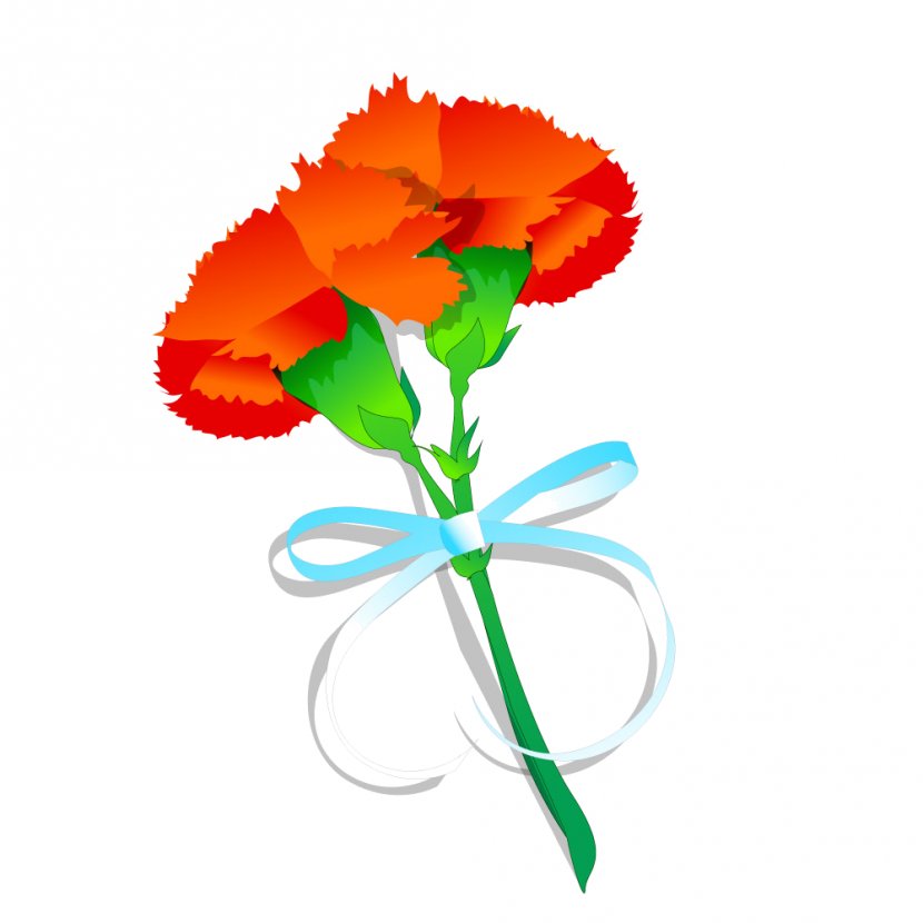 Carnation Cut Flowers Clip Art - Violet Family - Flower Transparent PNG