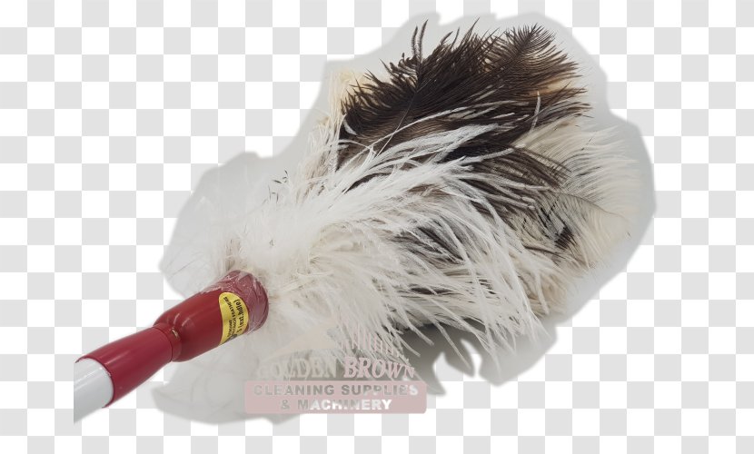 Common Ostrich Feather Duster Cleaning Mop Transparent PNG