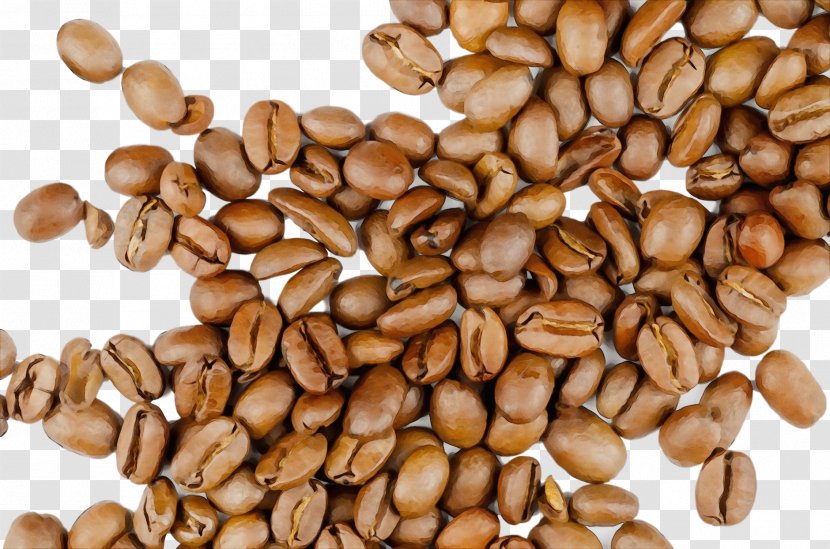 Plant Food Ingredient Seed Java Coffee - Superfood Transparent PNG