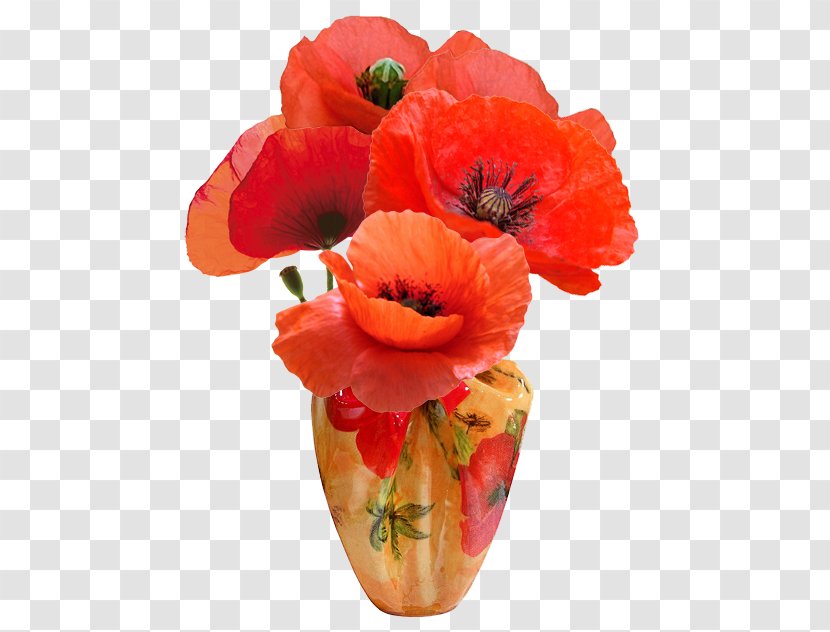 Flower - Vase - Cut Flowers Transparent PNG