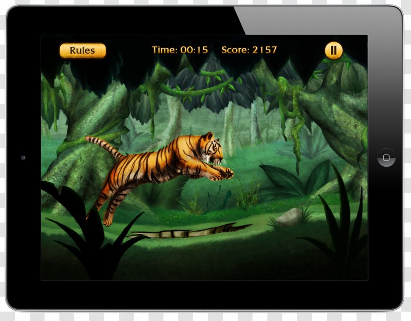 Tiger Cat Ecosystem Fauna Wildlife - Jungle Transparent PNG