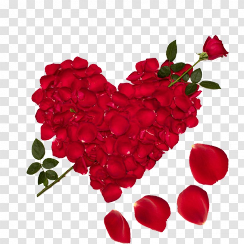 Love Girlfriend Boyfriend Friendship - Wish - Heart Rose Transparent PNG