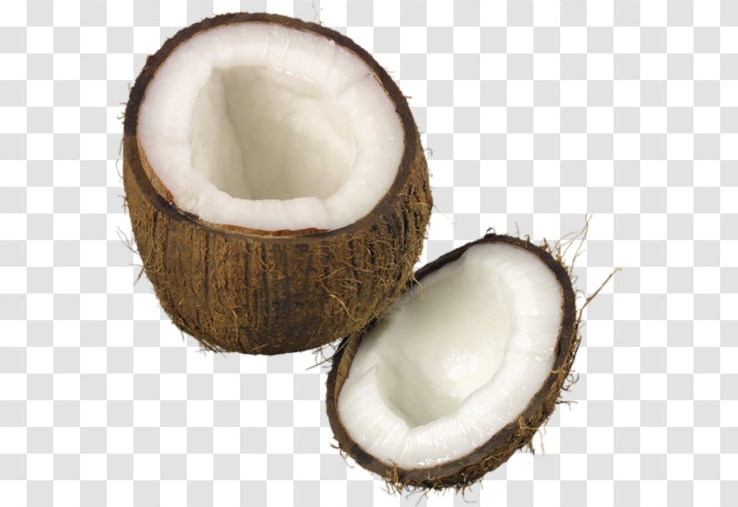 Coconut Fruit Food Image Juice - Taste Transparent PNG