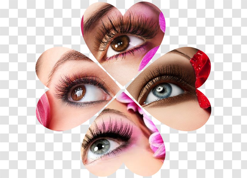 Eye Shadow Eyelash Eyebrow Cosmetics - Extensions Transparent PNG