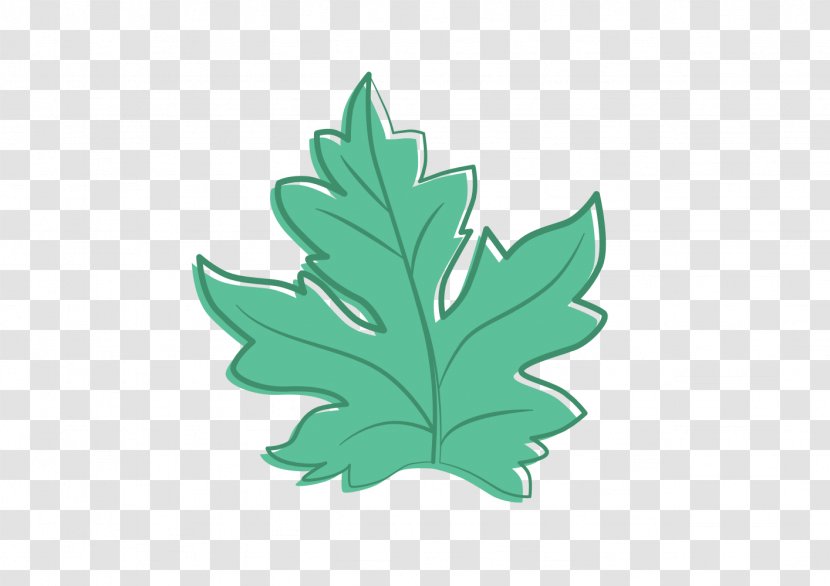 Maple Leaf Line Art Clip Transparent PNG