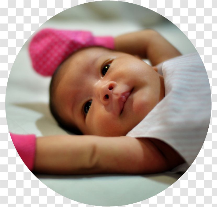 Infant Toddler - Child - Postpartum Transparent PNG
