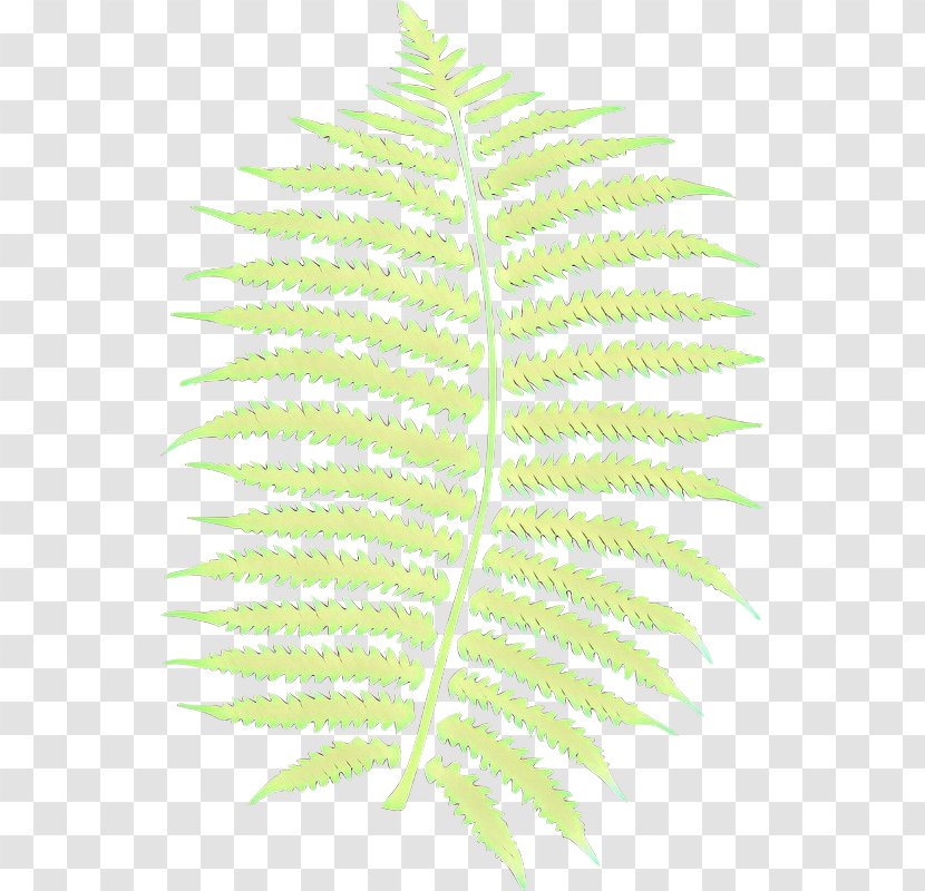 Leaf Plant Stem Line Tree Plants - Botany Transparent PNG