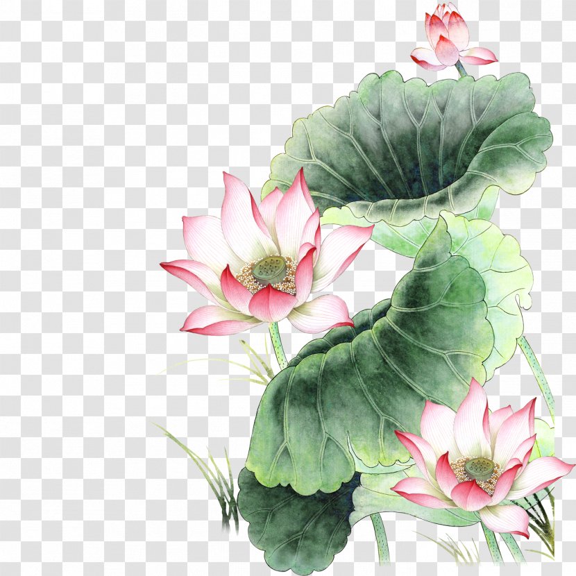 Nelumbo Nucifera Pink Icon - Leaf - Lotus Transparent PNG