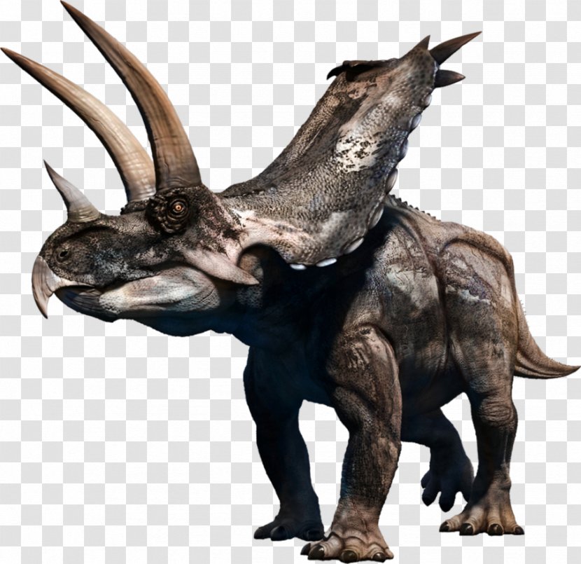 Agujaceratops Triceratops Stock Photography Horned Dinosaurs Royalty-free - Animal Figure - Aguja Background Transparent PNG