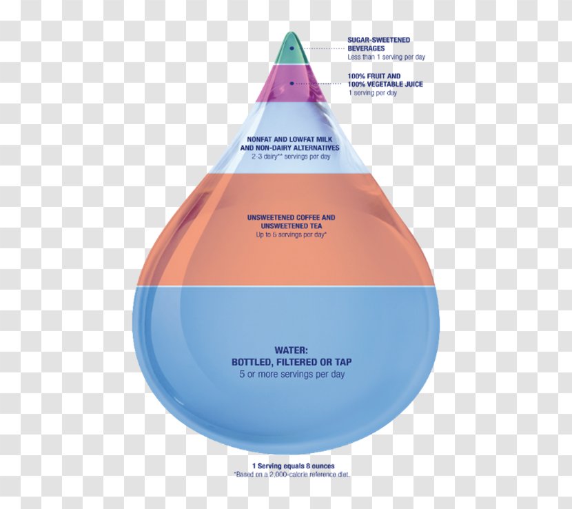 Water Diagram - Clinical Nutrition Transparent PNG