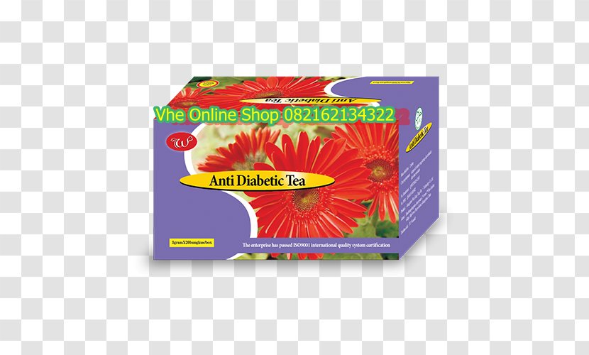 Diabetes Mellitus Pricing Strategies Anti-diabetic Medication Product Marketing - Tea - Es Teh Transparent PNG