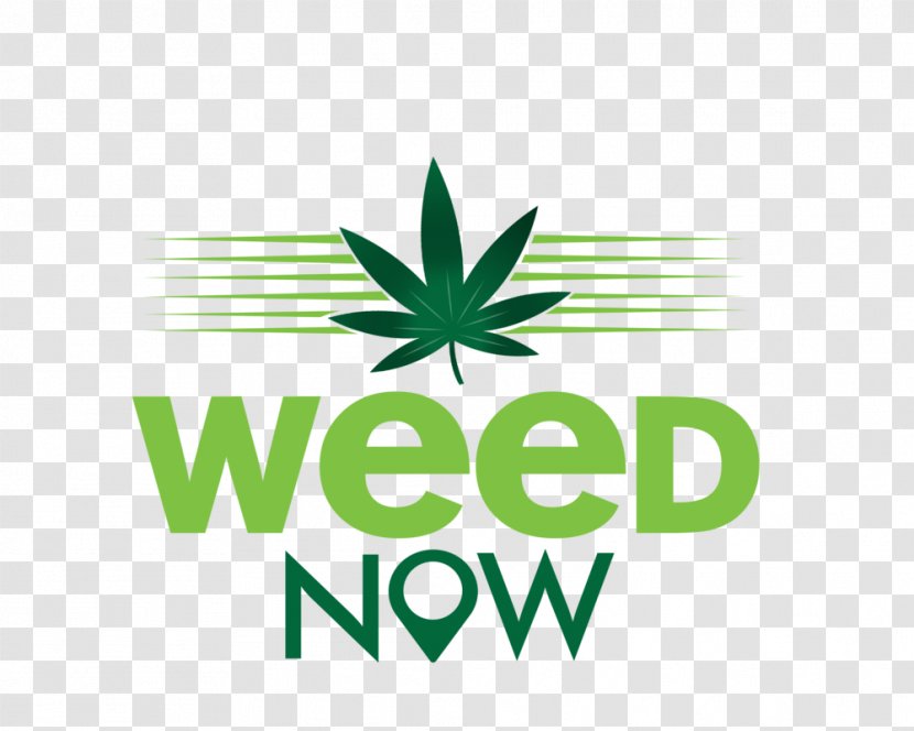 Medical Cannabis Weed Now 420 Day Smoking - Hemp Transparent PNG