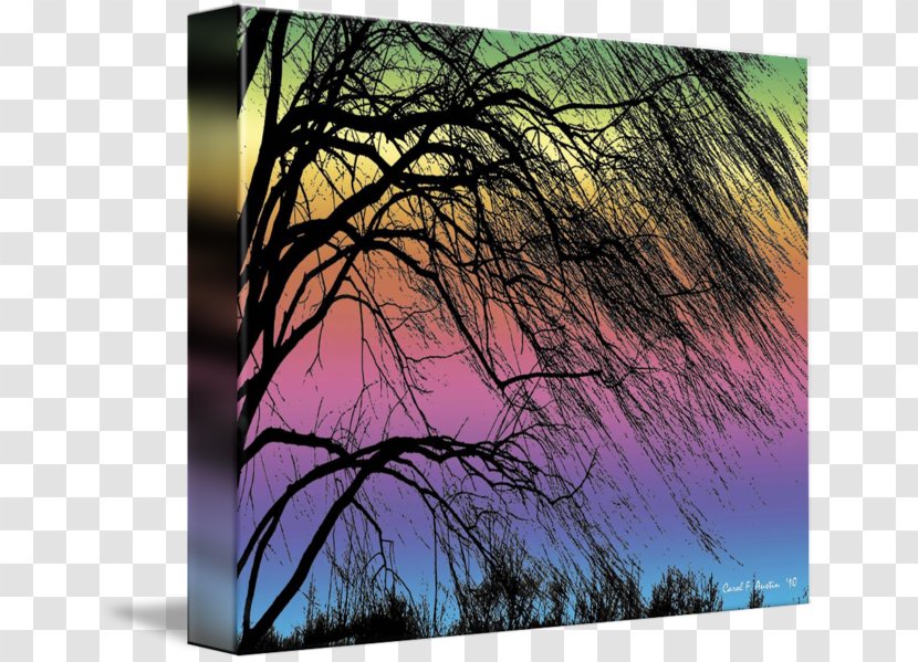 Weeping Willow Tree Painting Shrub - Art - Trea Transparent PNG