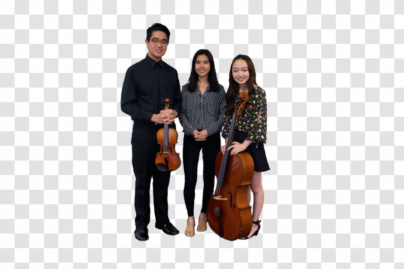 Cello Stony Brook University Musical Instruments Violin Family Chapman - Flower - Kevin Owens Transparent PNG