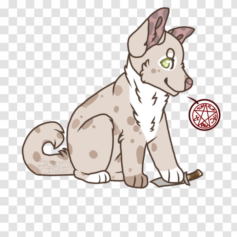 Whiskers Kitten Dog Cat - Tail Transparent PNG