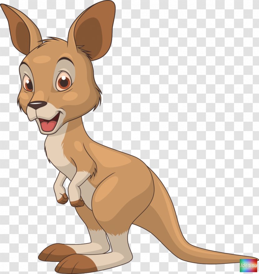 Kangaroo Cartoon Clip Art - Cat Like Mammal Transparent PNG