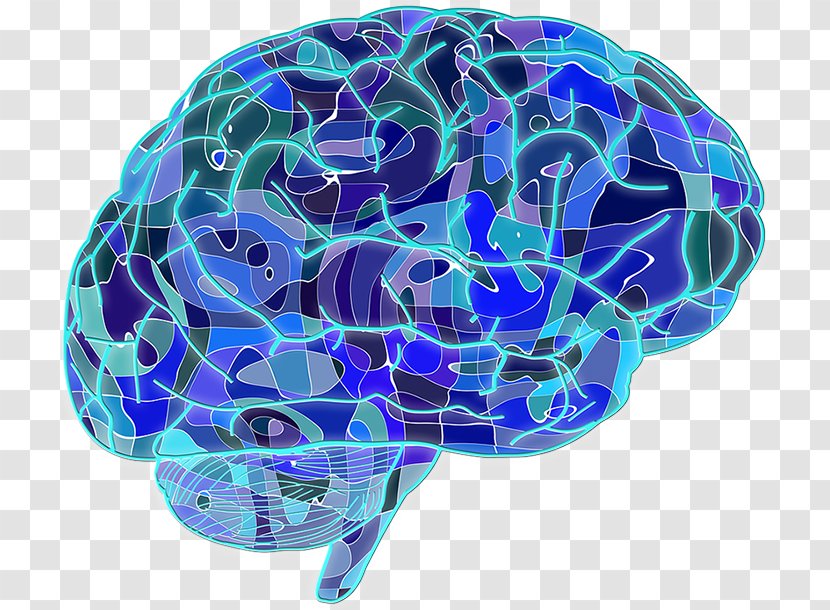 Blue Brain Project Neuron Human Neuroscience - Tree - Wendeltreppe Transparent PNG