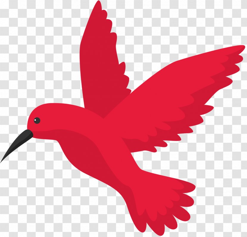 Google Hummingbird Search Engine Optimization Flight - Bird Transparent PNG