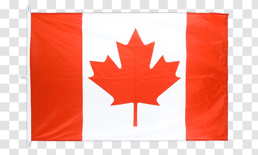 National Flag Of Canada Day Maple Leaf - Zazzle Transparent PNG