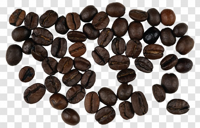 Turkish Coffee Cappuccino Latte Bean - Transparent Side Picture Transparent PNG