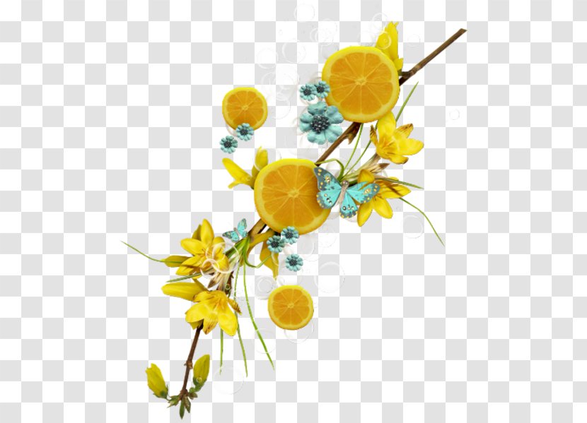 Lemon Fruit Auglis Flower - Yellow - Limon Transparent PNG