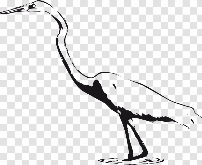 Great Egret Bird Crane Clip Art - Royaltyfree - Black Marsh Cliparts Transparent PNG