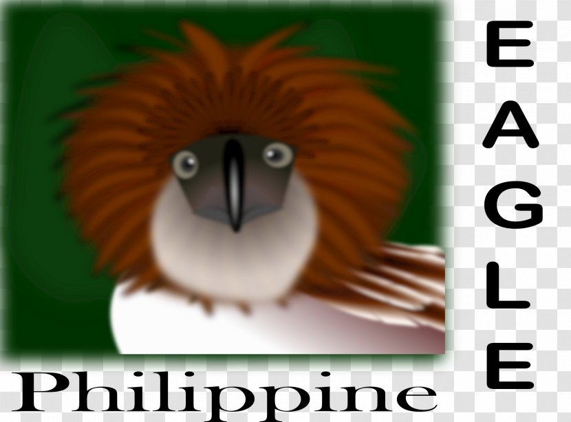 Philippines Bald Eagle Philippine Clip Art - Kiwi Bird Transparent PNG