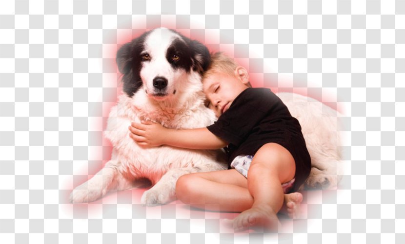 Dog Breed Puppy Child Transparent PNG
