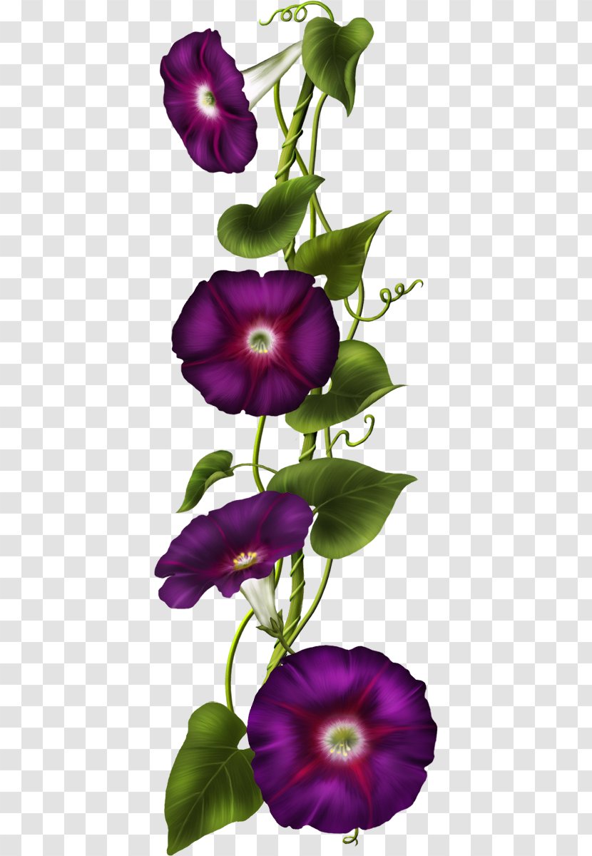 Christian Clip Art Image Flower - Purple Transparent PNG