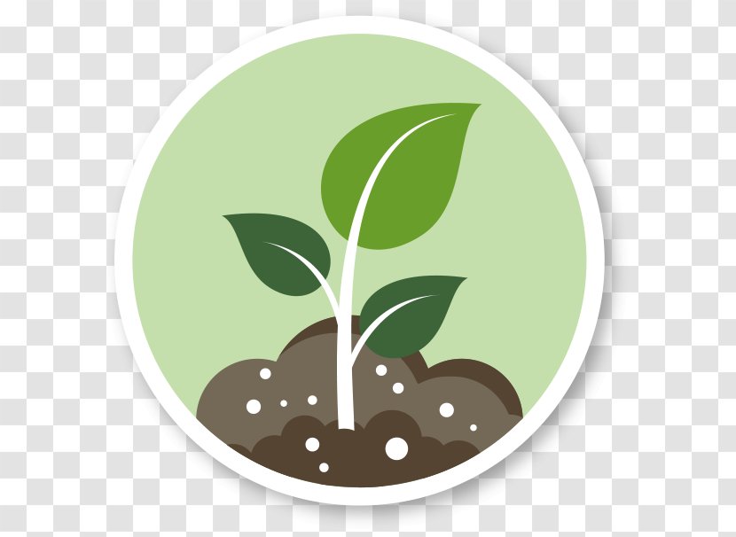 Biostimulant Fertilisers Agriculture Soil Foliar Feeding - Plant Transparent PNG