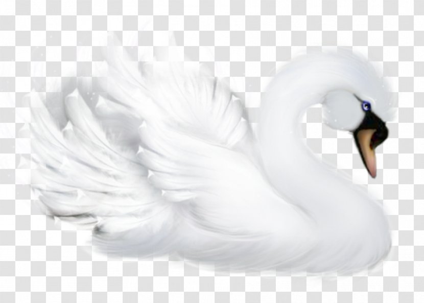 Mute Swan Bird Goose Duck Cygnini - Figurine - Swans Transparent PNG