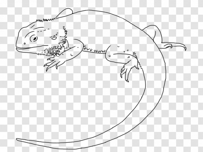 Lizard Drawing Central Bearded Dragon Line Art Clip - Dragons Transparent PNG