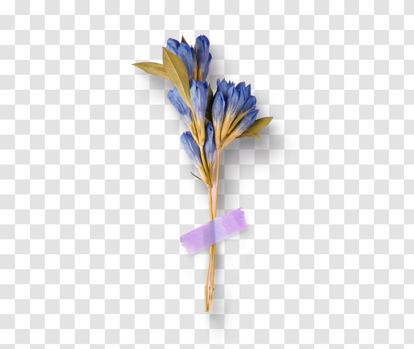 Flower Download Blue - Purple - Fresh Bouquet Decoration Pattern Transparent PNG